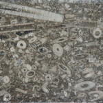 Halkyn Marble - geology